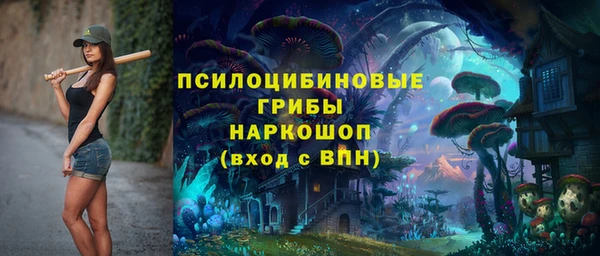 мет Алексин
