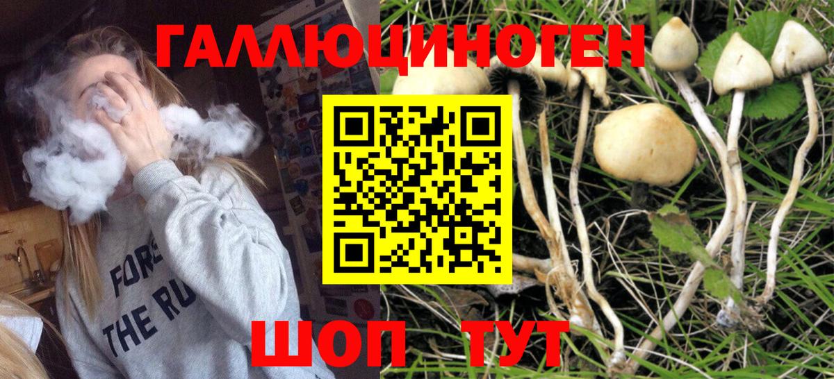 Воткинск  Псилоцибиновые грибы GOLDEN TEACHER  Вход с VPN 